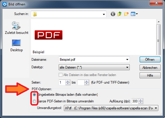 PDF-Optionen